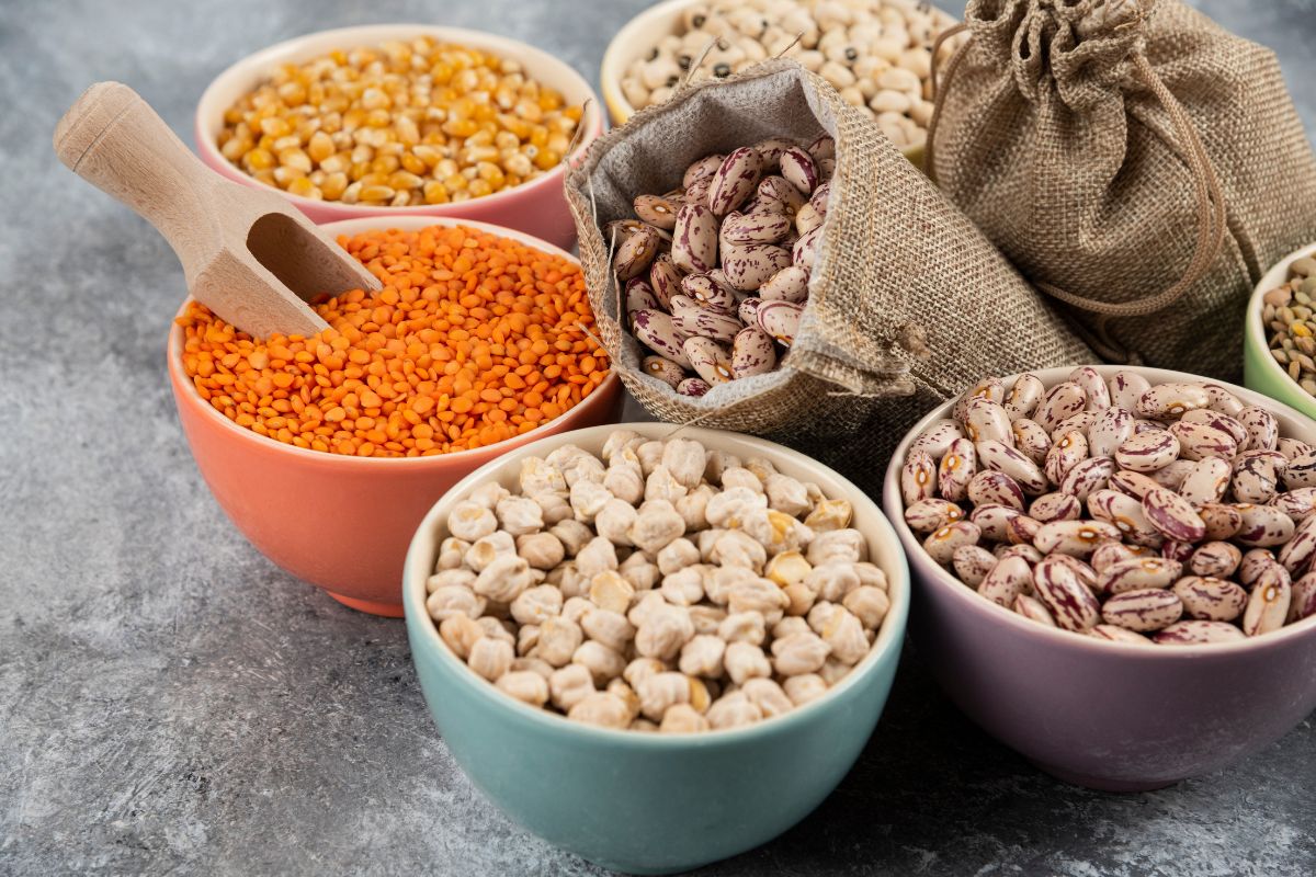 biochemistry of legumes